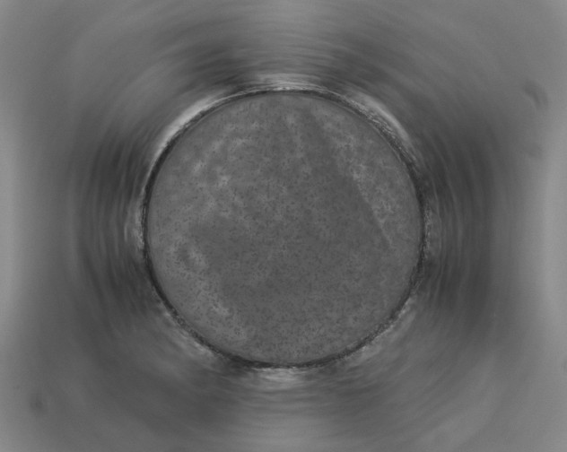 X0000113241182200910011320