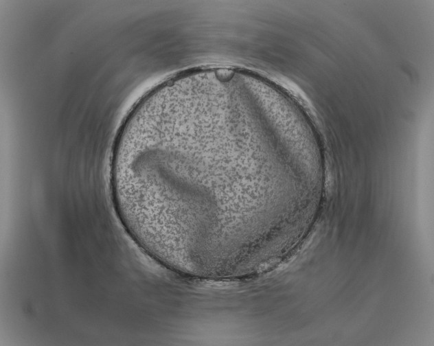 X0000113241183200910011320