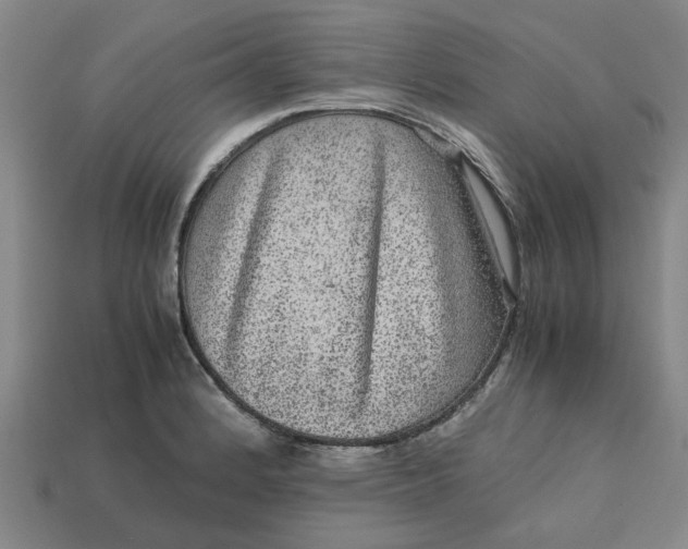 X0000113241184200910011320