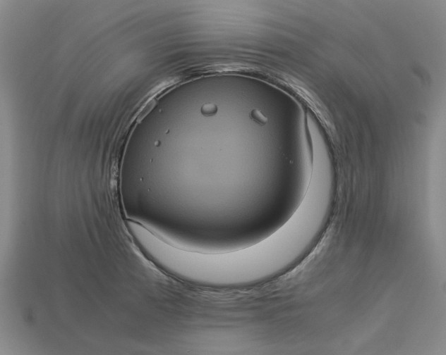 X0000113241185200910011320