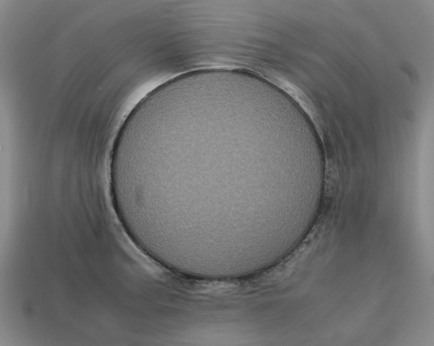 X0000113241187200910011320