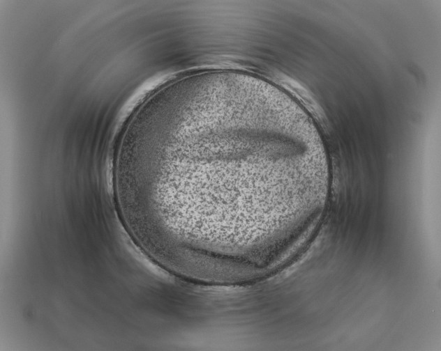 X0000113241188200910011320