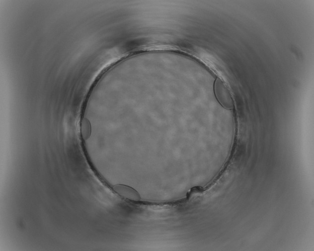 X0000113241189200910011320