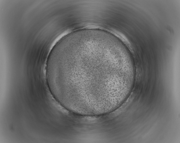 X0000113241190200910011320