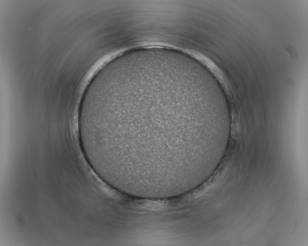 X0000113241191200910011320