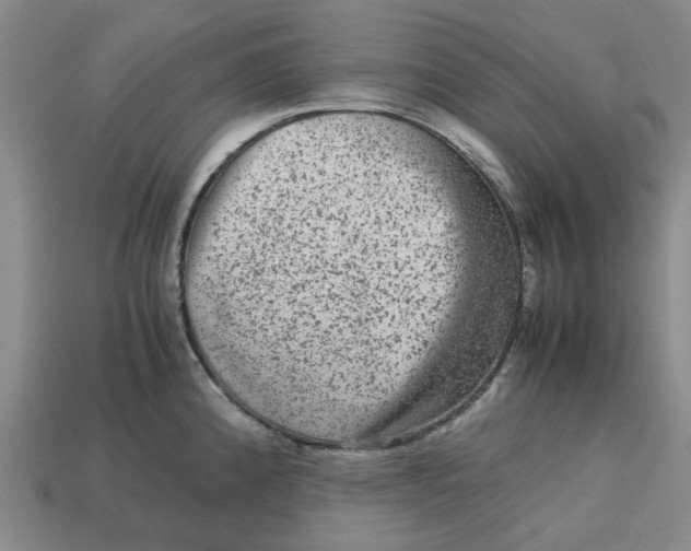 X0000113241192200910011320