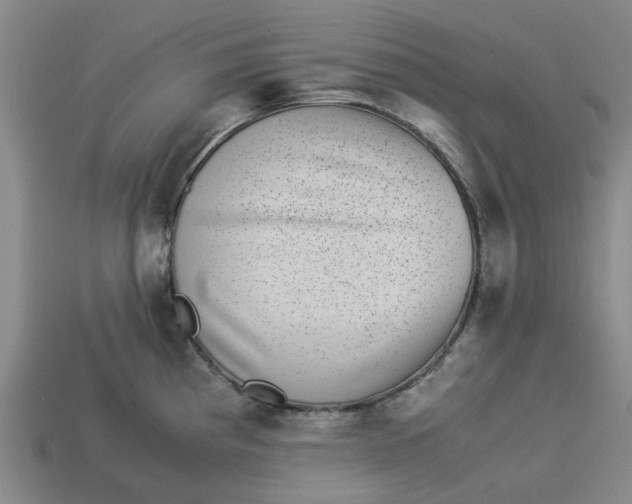 X0000113241193200910011320