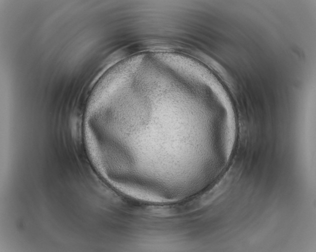 X0000113241194200910011320