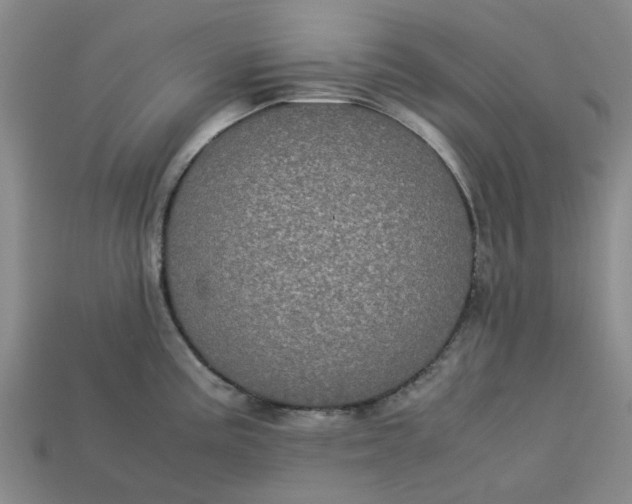 X0000113241195200910011320