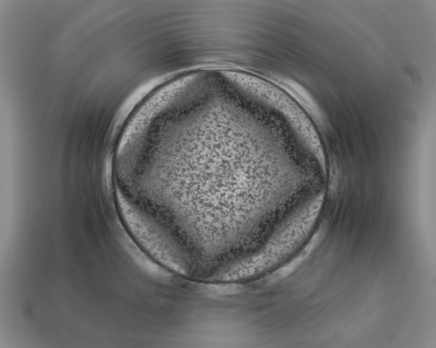 X0000113241196200910011320