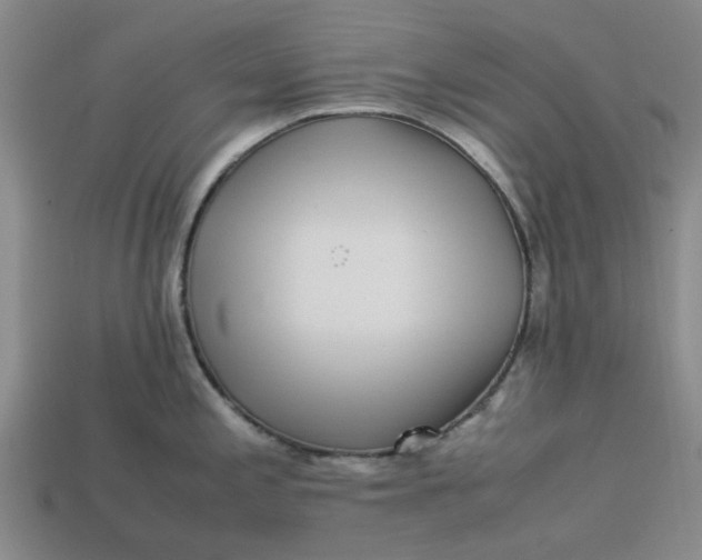 X0000113241197200910011320