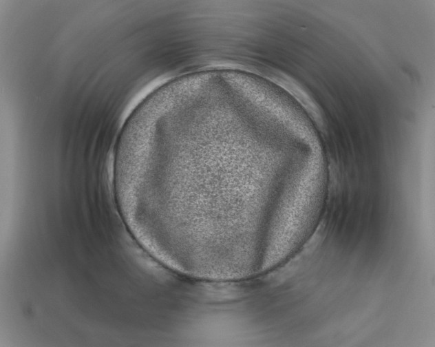 X0000113241198200910011320