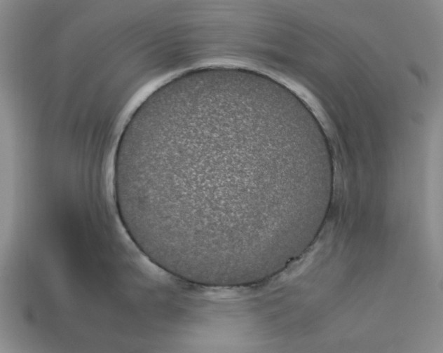 X0000113241199200910011320