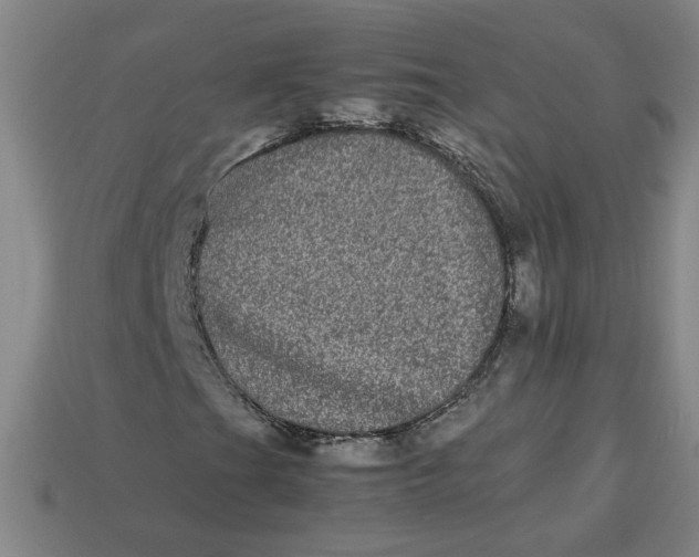 X0000113241201200910011319