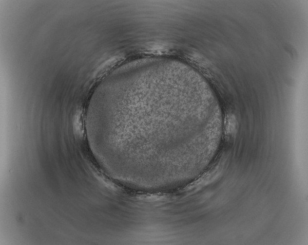 X0000113241202200910011319