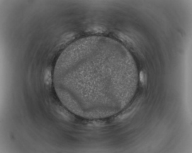 X0000113241203200910011319