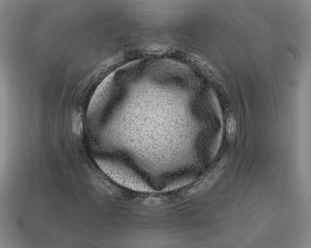 X0000113241204200910011319