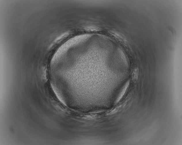 X0000113241205200910011319