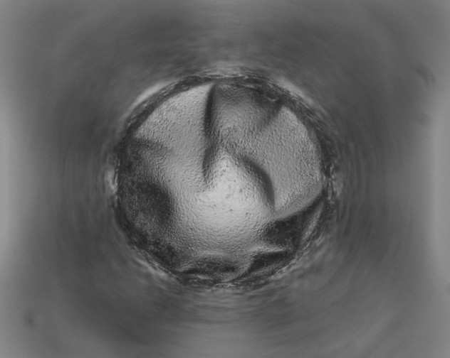 X0000113241206200910011319