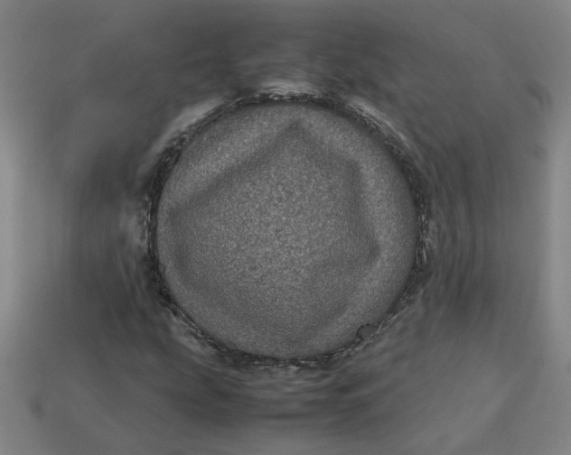 X0000113241207200910011319