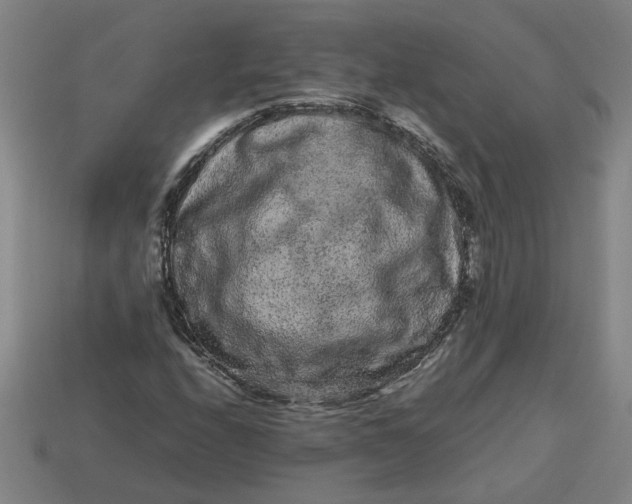 X0000113241208200910011319