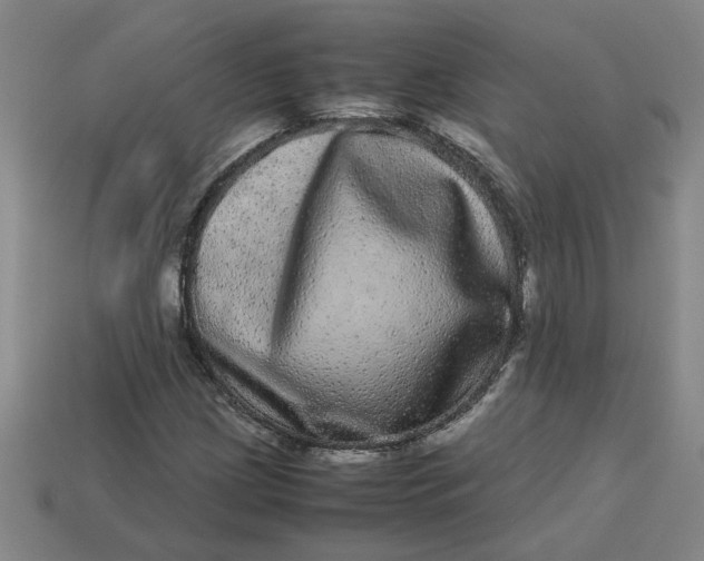 X0000113241209200910011319