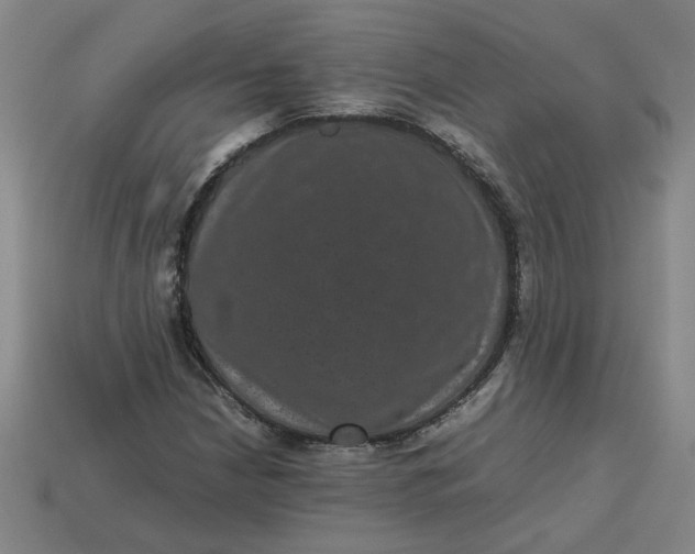 X0000113241210200910011319