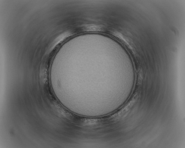 X0000113241211200910011319