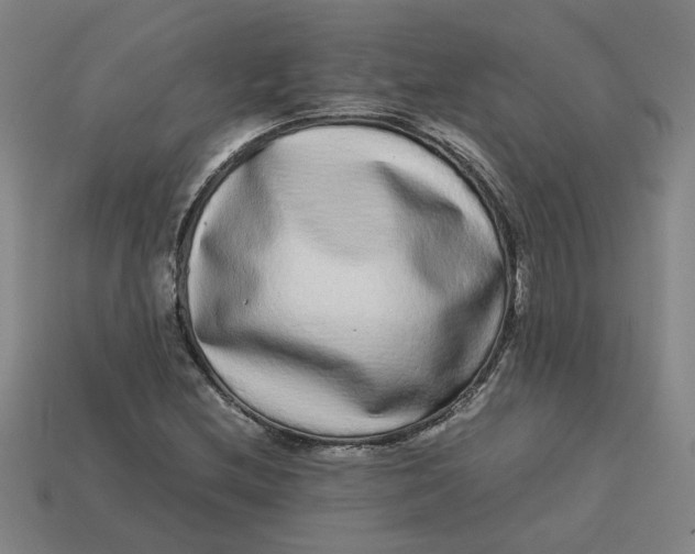 X0000113241212200910011319