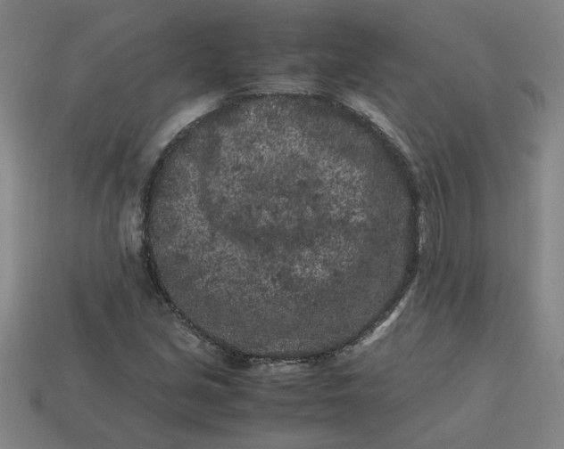 X0000113241213200910011319