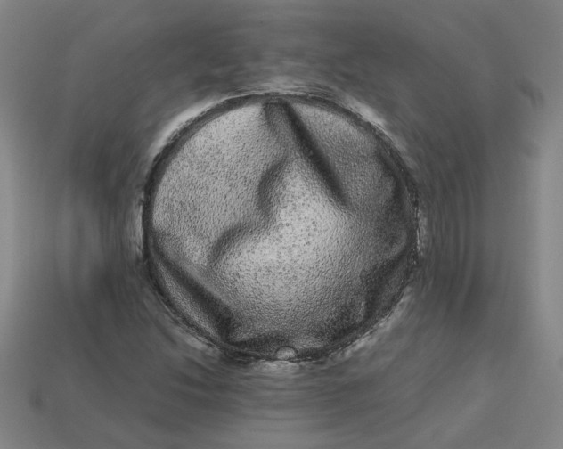 X0000113241214200910011319