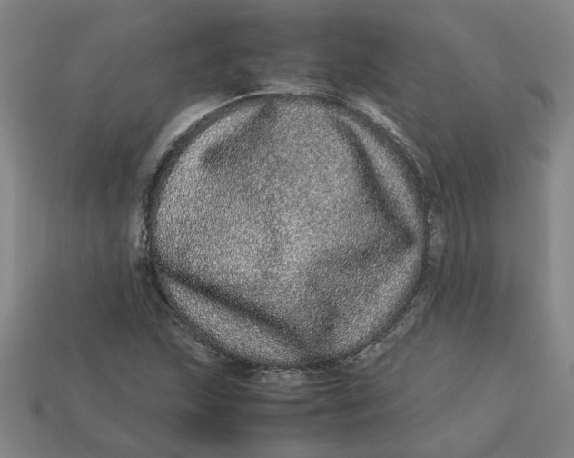 X0000113241215200910011319