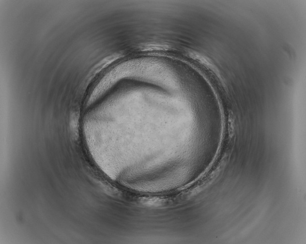 X0000113241217200910011319