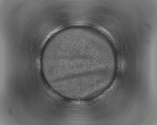 X0000113241218200910011319