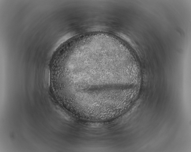 X0000113241219200910011319