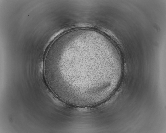 X0000113241220200910011319