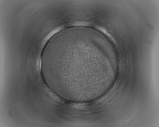 X0000113241221200910011319