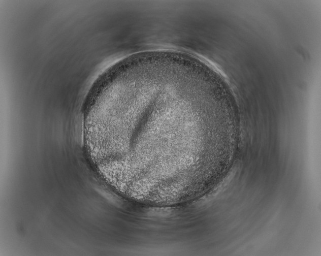 X0000113241223200910011319