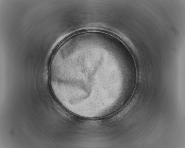 X0000113241224200910011319