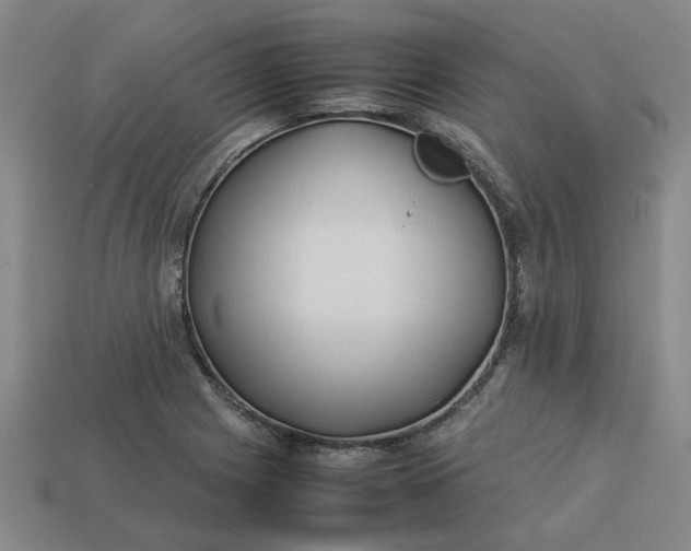 X0000113241225200910011319