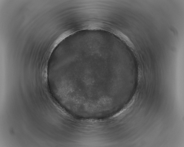 X0000113241226200910011319