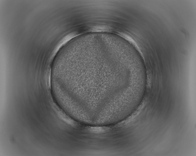 X0000113241227200910011319