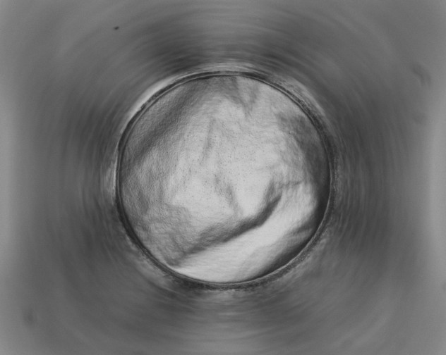 X0000113241228200910011319