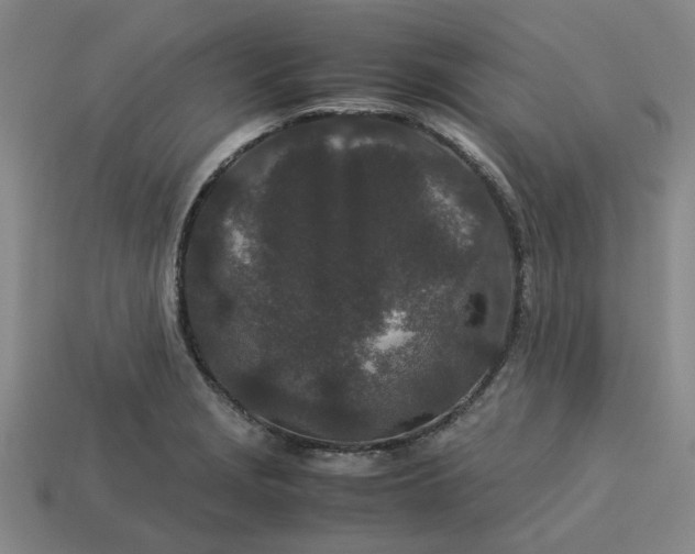 X0000113241229200910011319