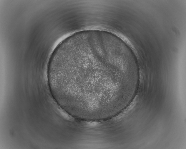 X0000113241230200910011319