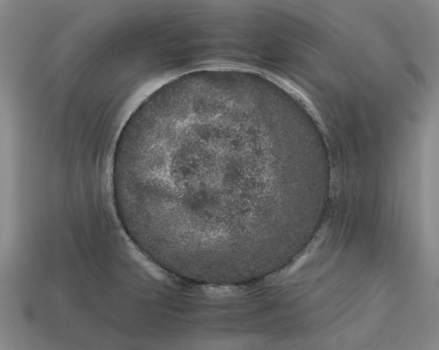 X0000113241231200910011319