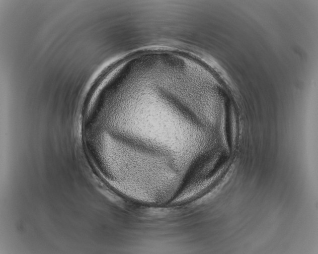 X0000113241232200910011319