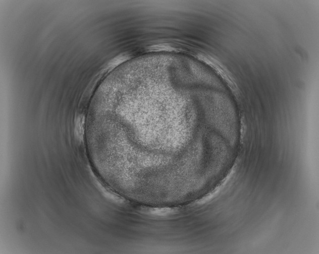 X0000113241233200910011319