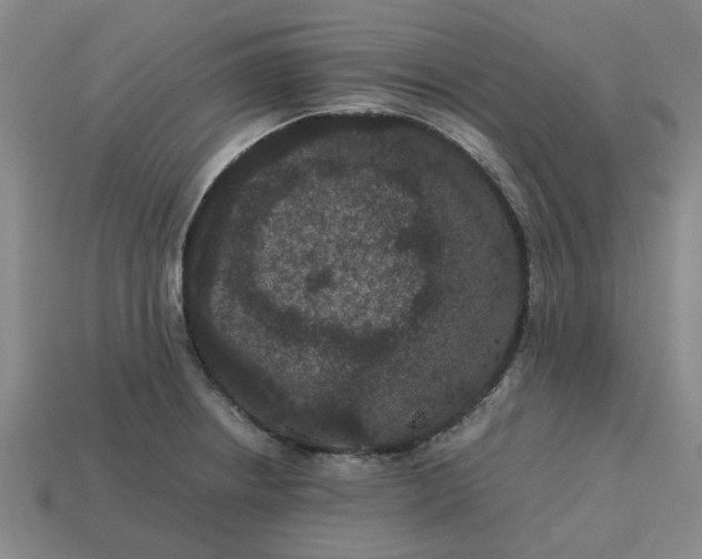 X0000113241234200910011319