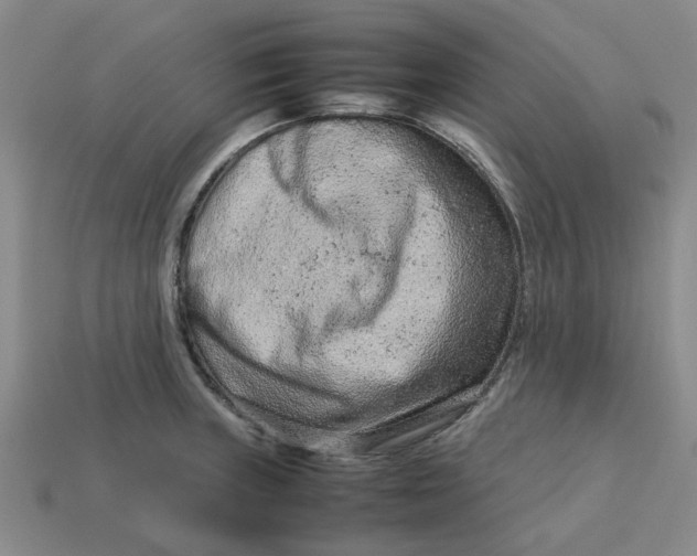 X0000113241235200910011319